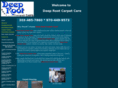 bouldercountycarpetcleaning.com
