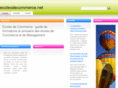 ecolesdecommerce.net