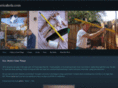 ericahola.com