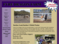 fyredragonwelshponies.com