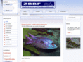 aquarienverein.com
