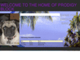 prodigyblock.com