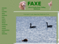 tollarfaxe.com