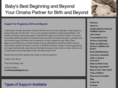 babysbestbeginning.com