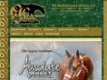 hunterundersaddlestallions.com