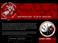 risingdragonmartialarts.com