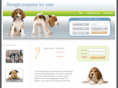 beaglepuppiesforsale.net
