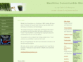 wealthlineconsortium.com