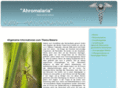 ahromalaria2008.org
