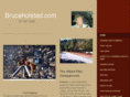 bruceholsted.com