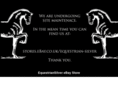 equinesilver.com