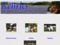 kenrics.com