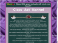 classactkennel.com