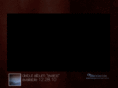 theparallellight.com