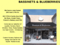 bassinetsnblueberries.com