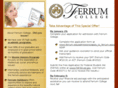 ferrumtodo.com