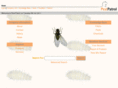 ppworksheets.co.uk