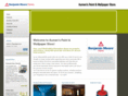 aumenspaintstore.com