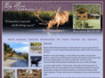 bighornmontana.com