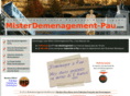 misterdemenagement-pau.com