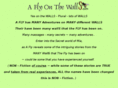 theflyonthewalls.com