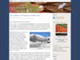 thetravelerscookbook.com