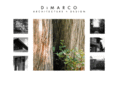 dimarcoarchitecture.com
