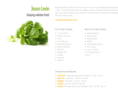 jasonlevin.com