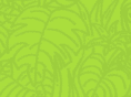 jungliah.com