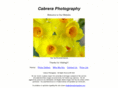 cabreraphotographyca.com