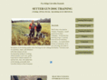 llewellinkennels.com