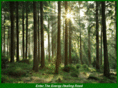 energyhealingroad.com