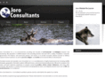 joroconsultants.com