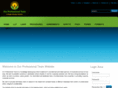 ourprofessionalteam.com