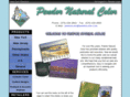pendorcolor.com