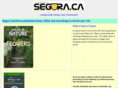 segurasolutions.com