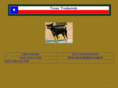 texastradewinds.com