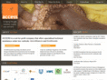 accessdev.org