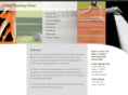 craterchiroclinic.com