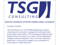 tsgconsulting.net