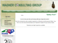 wagnersconsulting.com