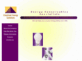 electricalenergysolutions.com