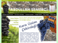 karauzumcekirdegi.com