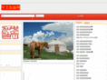 gochinese.org