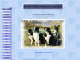 wouters-border-collie.de