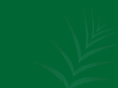 kellyscaribbean.com