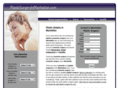 plasticsurgeryinmanhattan.com