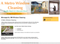 ametrowindowcleaning.net