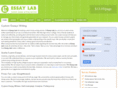 essay-lab.com