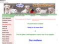 familymaltese.com